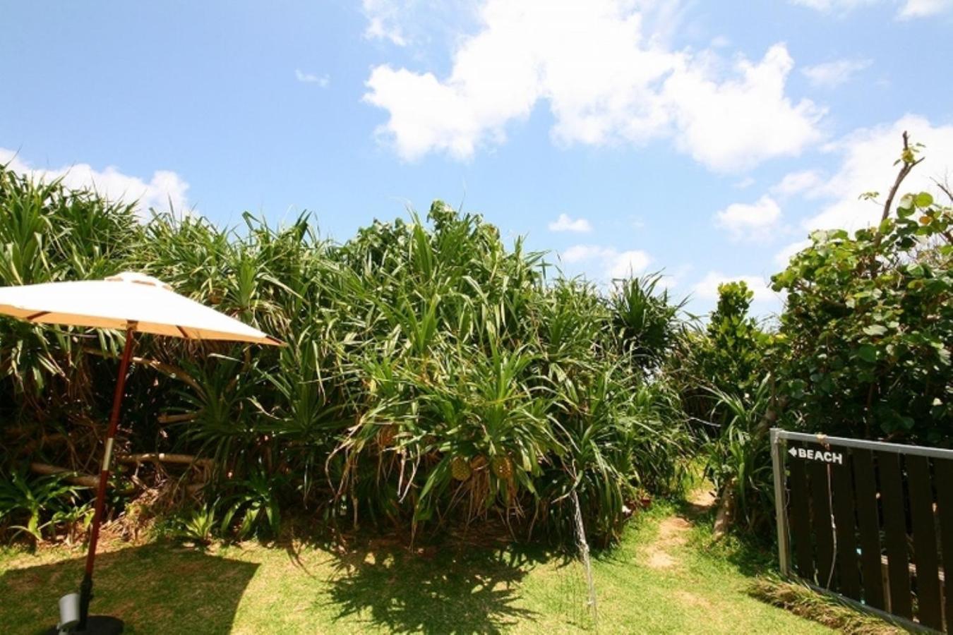 Casa Dumai Oceanvilla Nakijin Extérieur photo